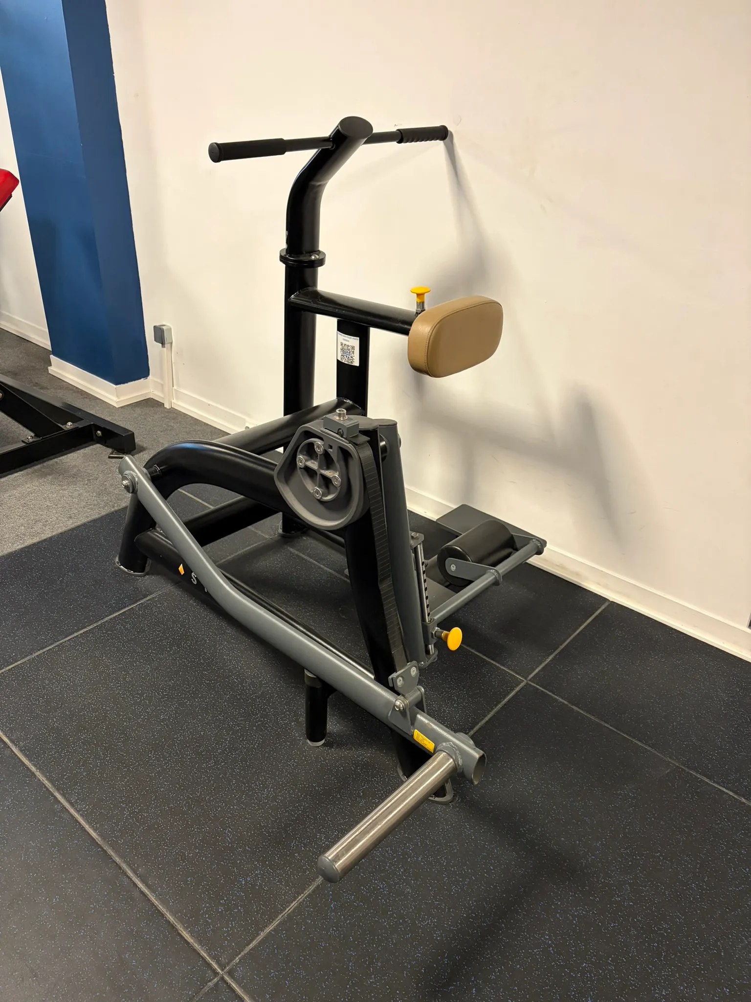 Machine à ischio-jambiers isolé (leg curl)