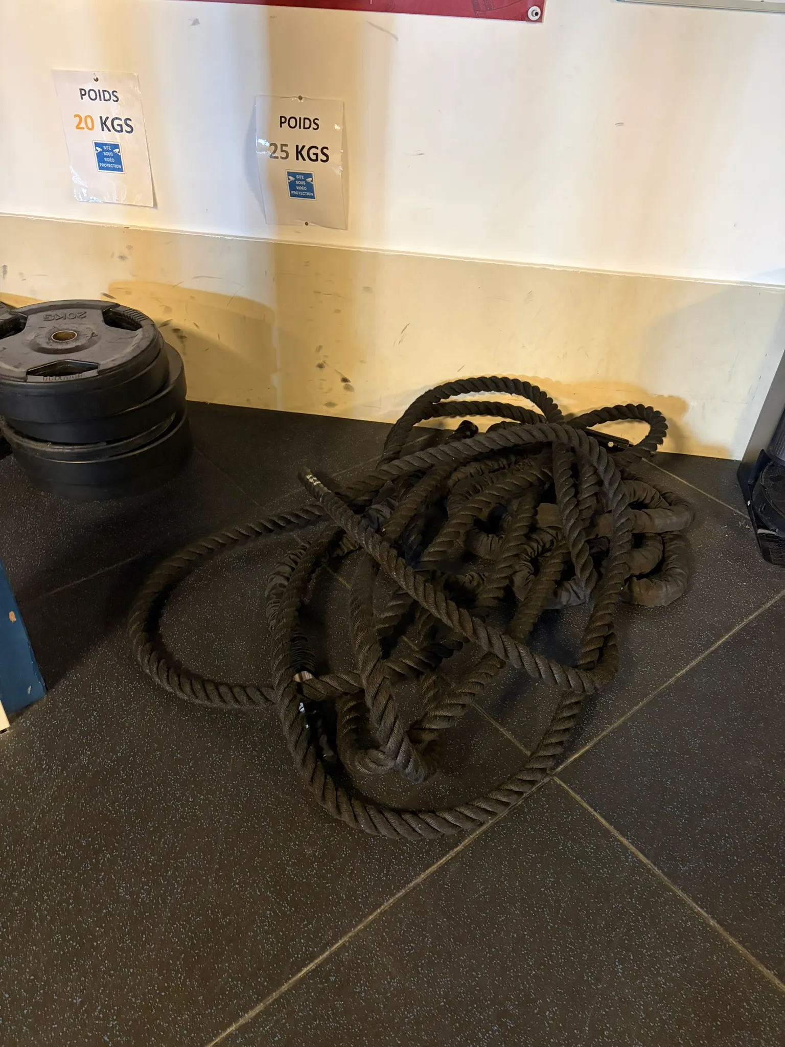Corde ondulatoire (battle rope) & disques